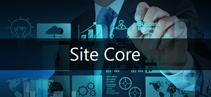 Site Core WMS
